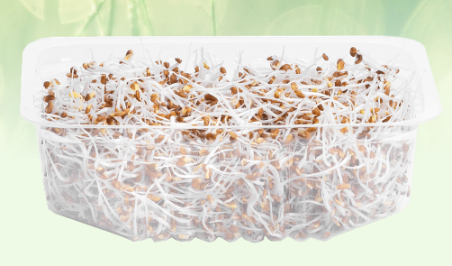 Семена люцерны, 100 г